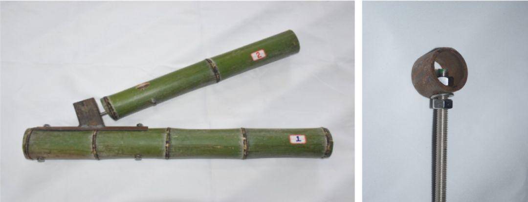 竹子的优点有哪些,竹子很有营养吗