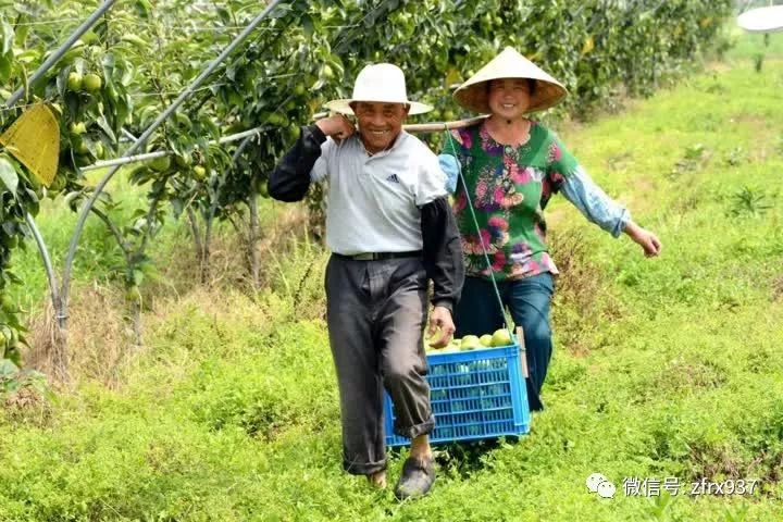 b类屠宰场需要关闭吗,屠宰场不规范有什么处罚