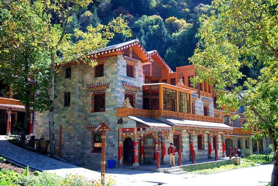 最美川西看彩林推荐地,美哭了这才是虹口秋天最美的地方