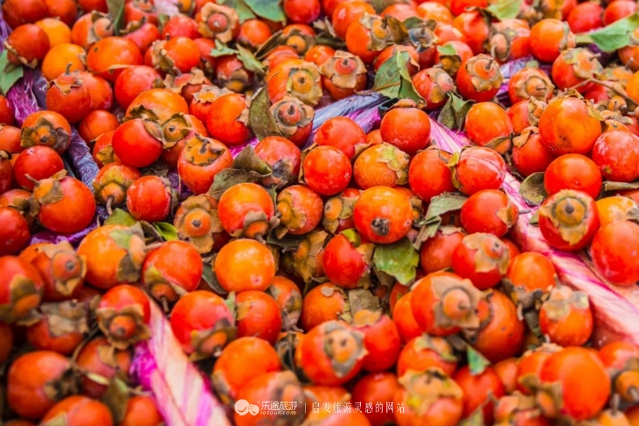 北京秋天赏红叶好去处房山坡峰岭,秋天赏红叶最佳去处