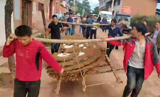 巨大的蜂巢视频,超级巨大蜂巢图片