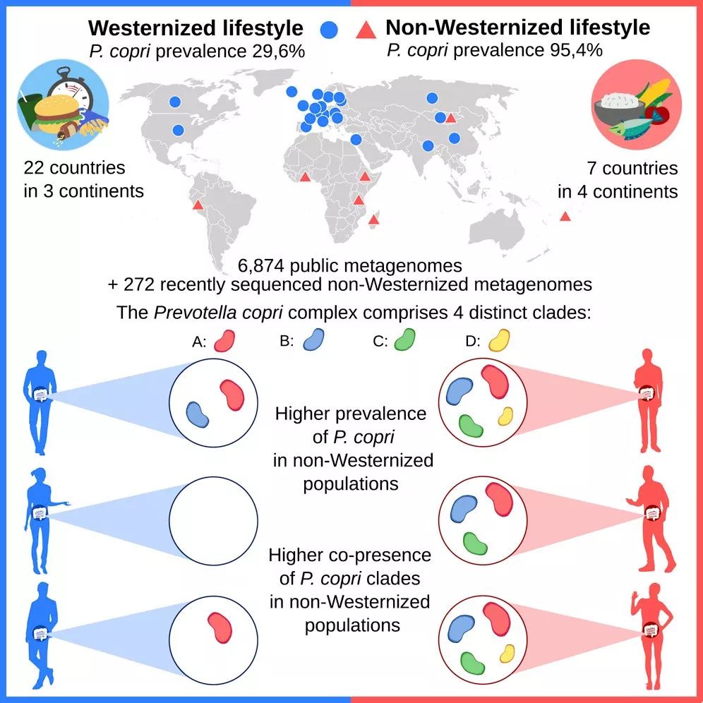 10月,33篇必读微生物研究:癌症、微生物药物、脑肠轴、皮肤-肠道轴、共生病毒、阴道微生物、菌群免疫互作、肠道黏液、粪菌移植