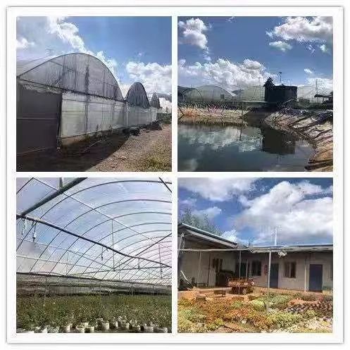 东方希望牧业最新招聘信息,东方希望畜牧有限公司招聘