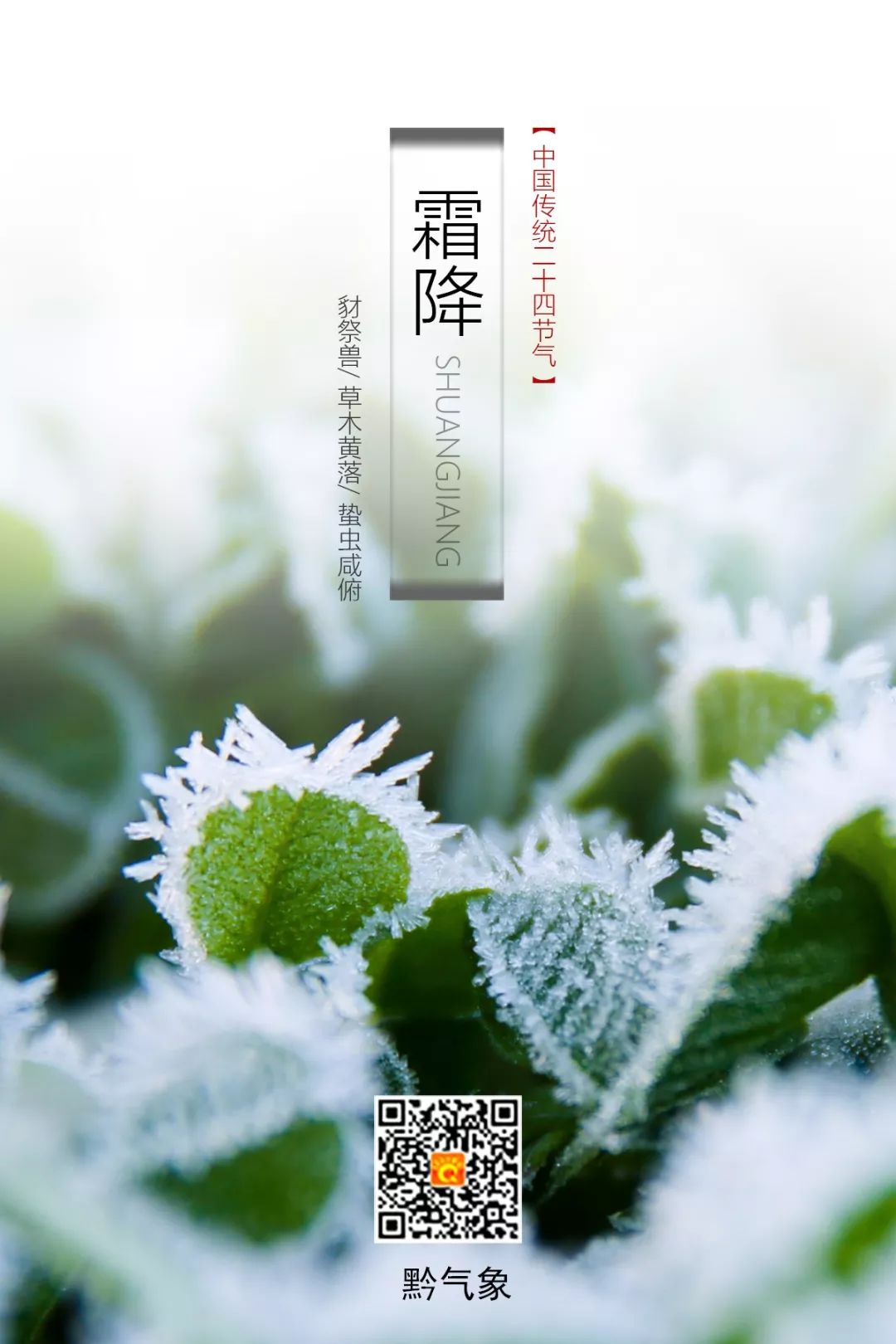 霜降接踵而至冷空气席卷而来,霜降已到冷空气欲来