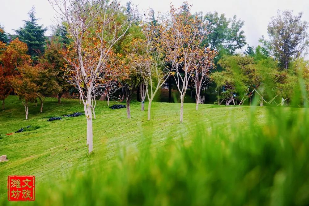 钟灵毓秀的优美词句,钟灵毓秀文章