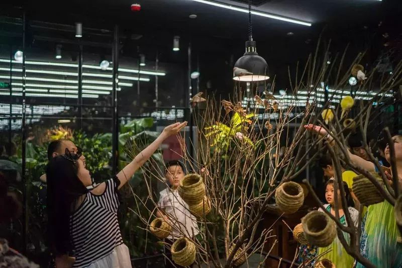 *子烟电**、编程课、代餐：资本寒冬里的赛道品牌，你消费过哪一个？