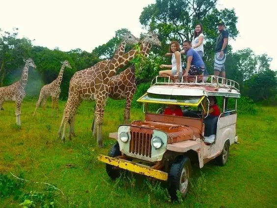 秒杀马代的绝美海岛,海南媲美马代的海岛