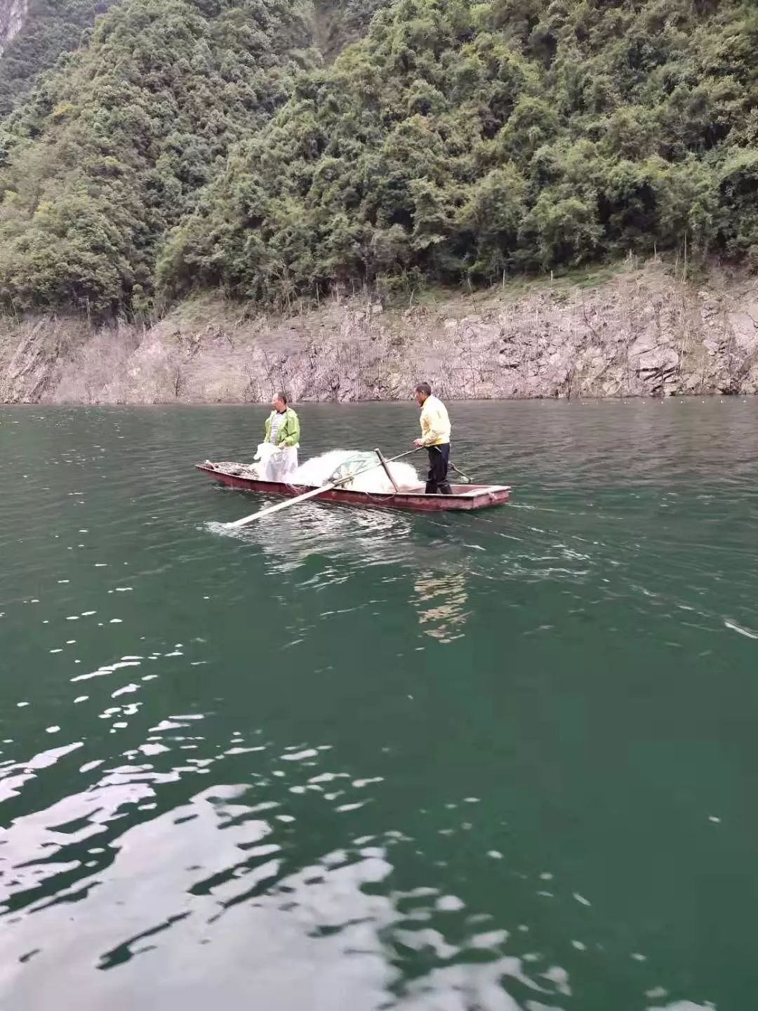 脱贫征文|三条鱼一千多元，穷山沟变“聚宝盆”！