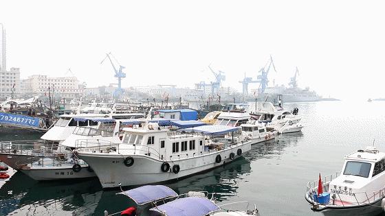 小港码头有蛏子吗,小港码头吃海鲜俱乐部电话