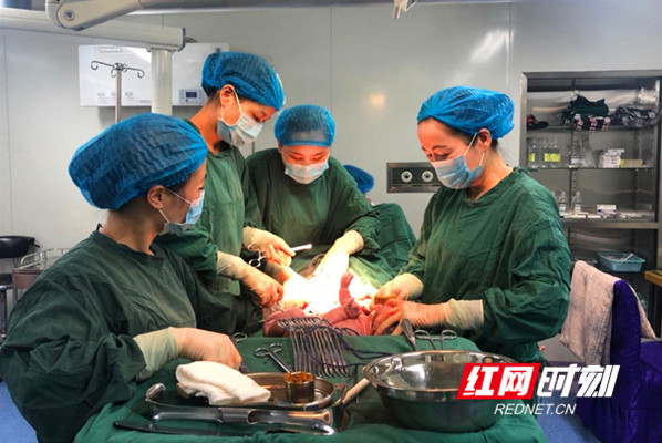 娄底丽人妇产医院生产过程,娄底丽人妇产医院一天生几个