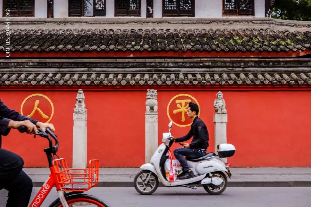 vlog单反入门级相机推荐,初学vlog适合用什么样的相机