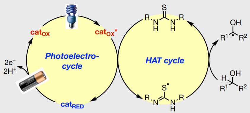 厦大NatureCat.，天大NatureCat.,催化前沿每周精选丨1014-1020