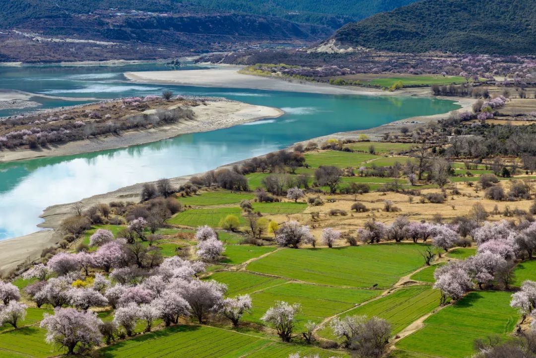 甘南藏族自治州：追赶着花香，不再是寂寞的高原