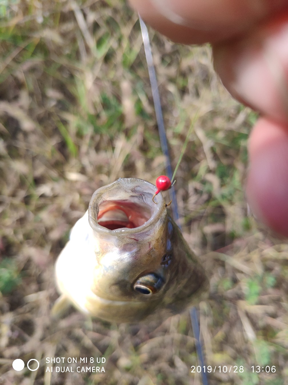 和钓友吃吃喝喝好不好,野钓与钓友