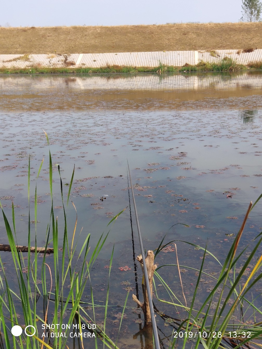 和钓友吃吃喝喝好不好,野钓与钓友