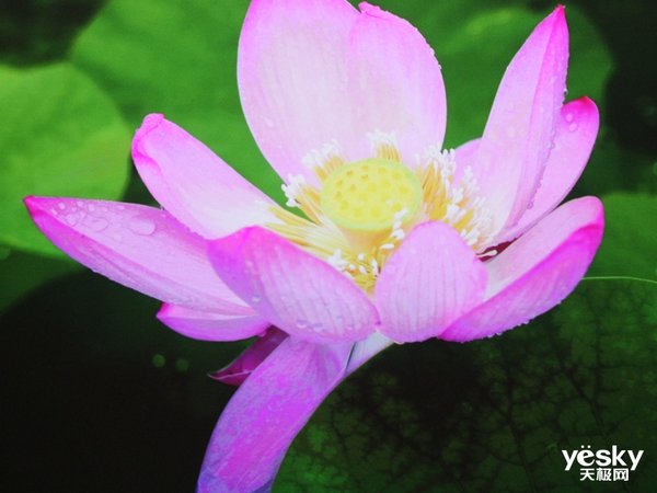 色彩逼真电视机,长虹c8ut激光电视