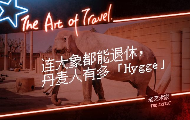 真羡慕丹麦人，连大象都提前退休了