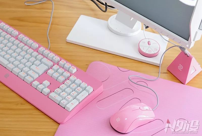 ZOWIEGEARDIVINA系列全家桶开箱图赏