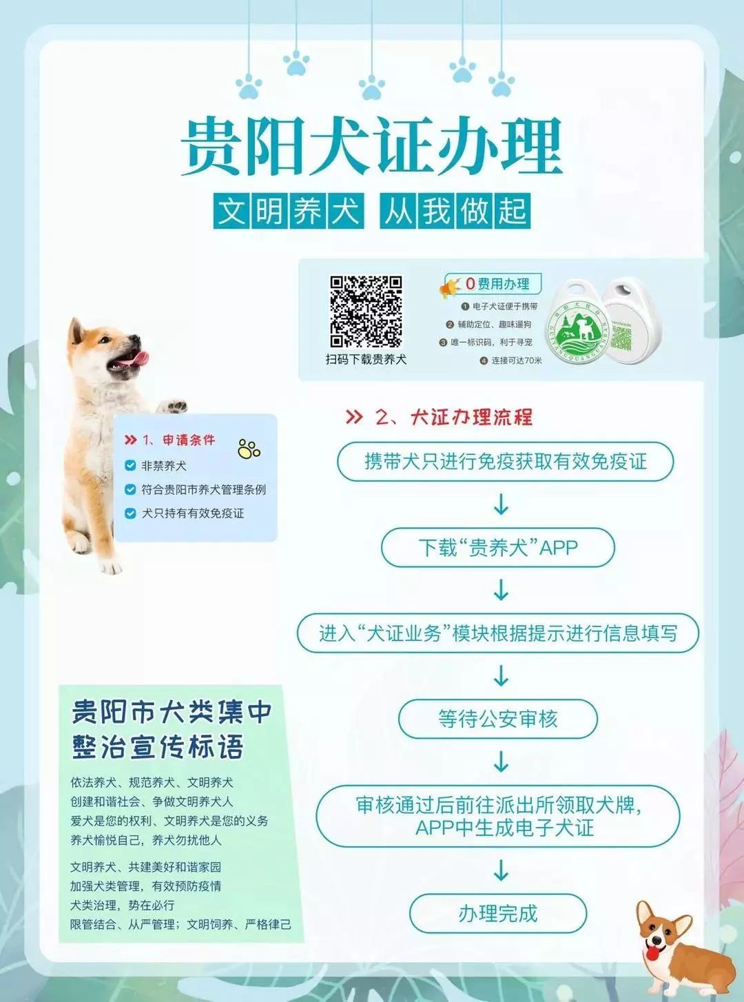 贵阳给狗狗办身份证,老狗办理电子犬证
