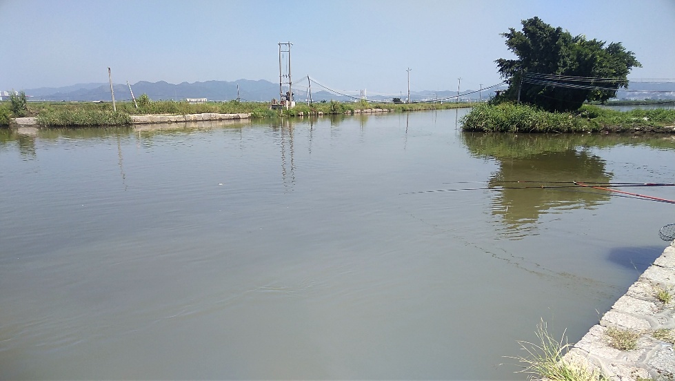 带友渔乐记渔获20斤，钓鱼不能*欢偷**