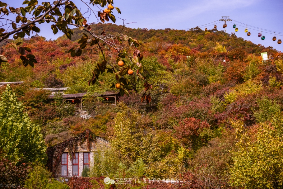 坡峰岭乡村大集,坡峰岭附近赶集
