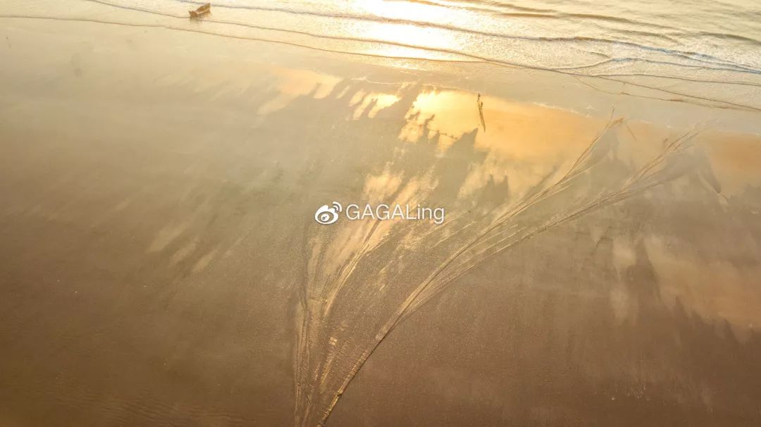 大V推荐|国内少有的黄金沙滩海岸,漳州六鳌游玩必备攻略,拍照小贴士!