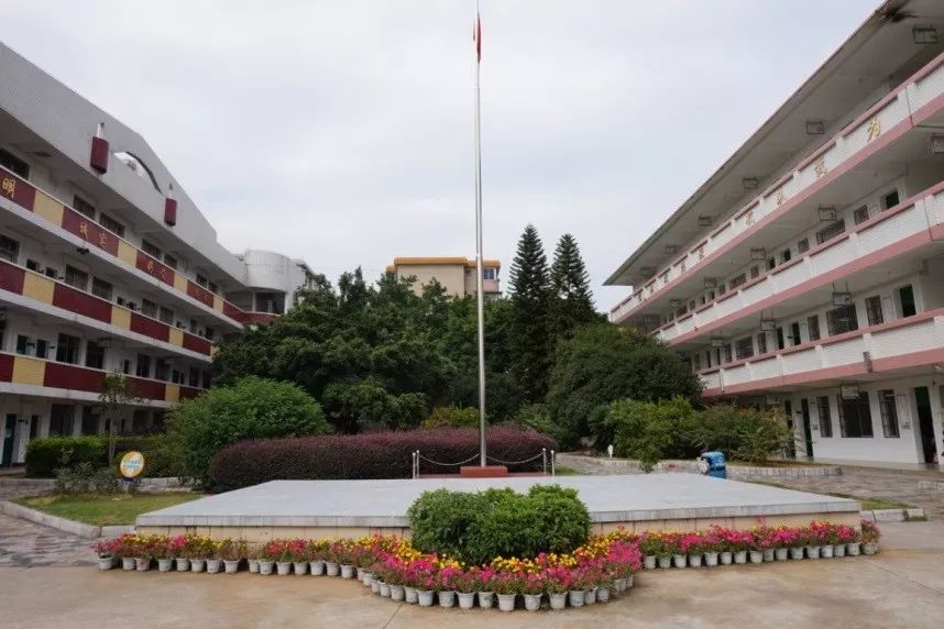 强势来袭！柳州这些风景如画的校园，你最爱哪一款？