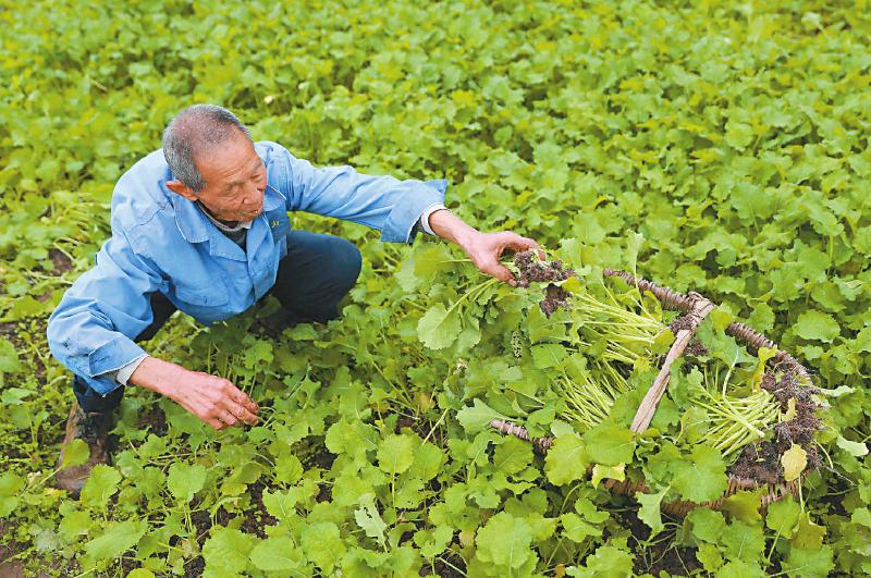 六大关键词看四川经济形势,三个关键词看一季度经济