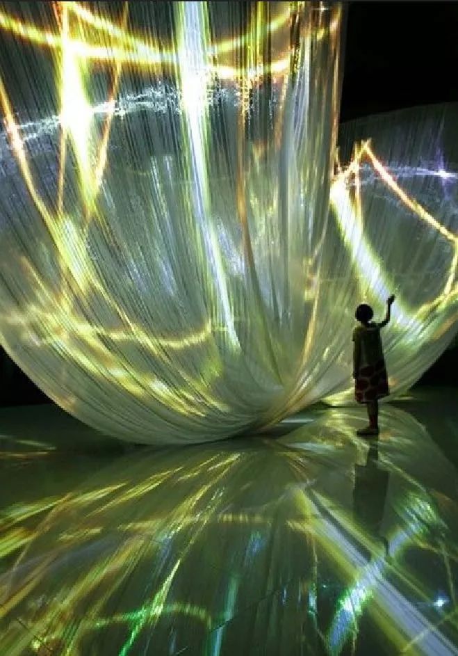 1000㎡展示中心：兔子先生的奇幻梦境