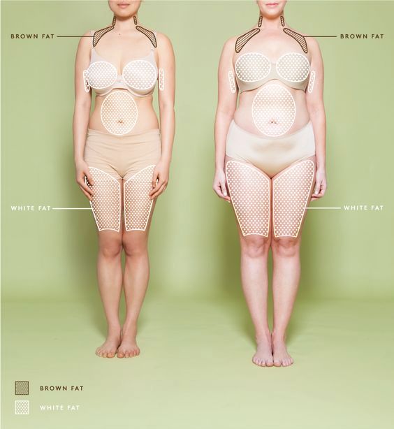 人间富贵花的颜值变化,被人夸人间富贵花回复什么更美