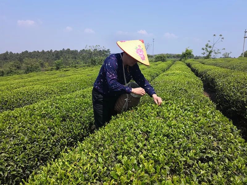 天呐！被南京这些路圈粉！