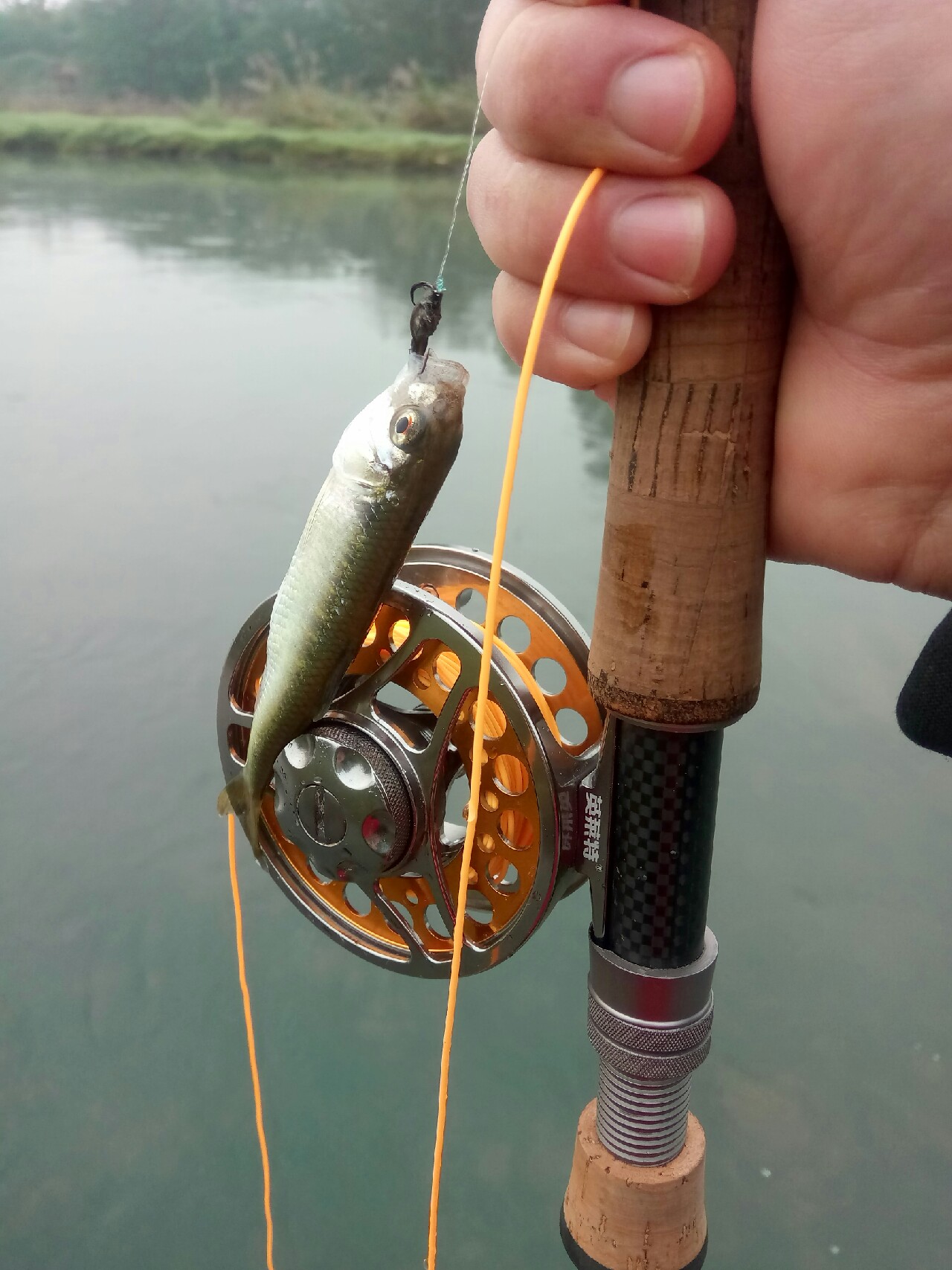 路亚飞蝇钩马口实战,路亚飞蝇钩怎么钓鲤鱼