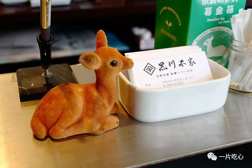 奈良的小鹿,奈良的小鹿最近新消息