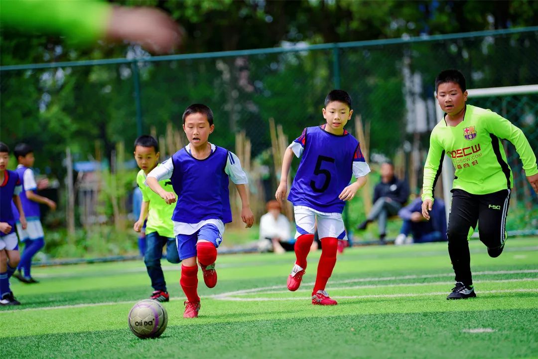 丽水足球学校排名,丽水最好的足球小学