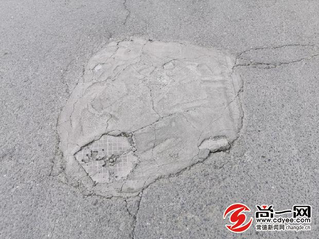 坑你没商量前面一句,坑你没商量前半句