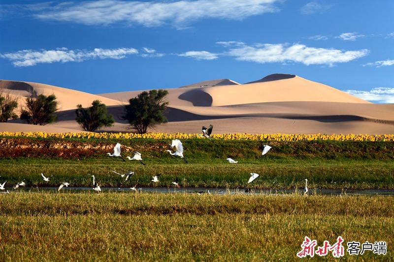 乌海是内蒙古第一大城市,内蒙古乌海的一道亮丽风景线