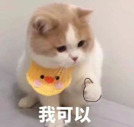 怎样摆脱讨好型人格做真正的自己,怎么拯救讨好型人格