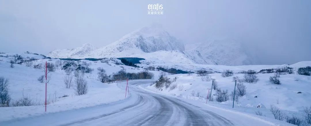 罗弗敦群岛一日游攻略,比冰岛还小众的罗弗敦群岛