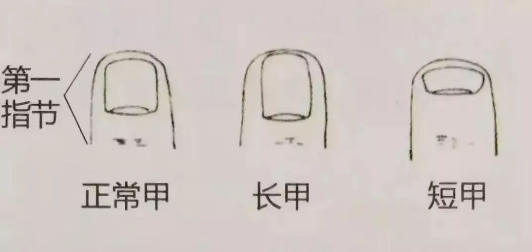 科普指甲怎么来的,关于指甲的科普视频