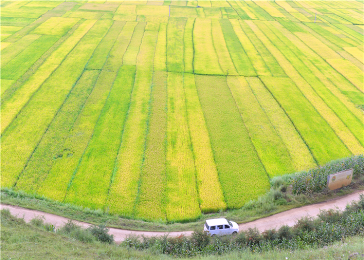 曹振华富源,富源金城路曹振华