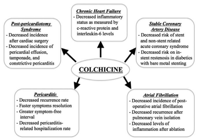 秋水仙碱真的很可怕吗,秋水仙碱已经禁用了吗