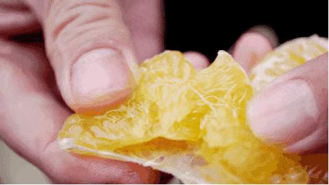 认识下广东人从小吃到大的宝藏水果，像冬季里清甜的山泉