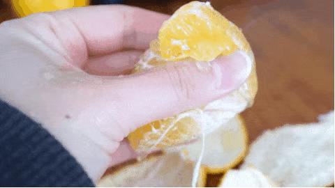 认识下广东人从小吃到大的宝藏水果,像冬季里清甜的山泉