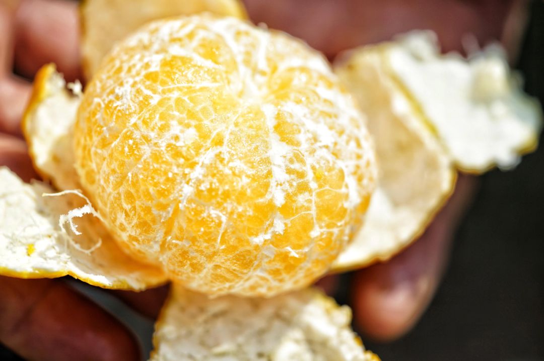 认识下广东人从小吃到大的宝藏水果,像冬季里清甜的山泉