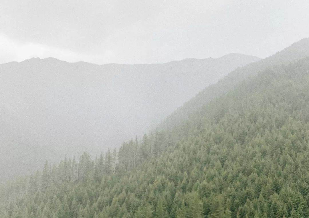 新西兰旅行的感受,新西兰旅游享受快乐每一天