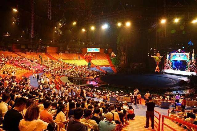 亲子游广州长隆动物园,广州长隆野生动物世界亲子游路线