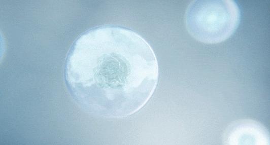 真正让你变美的护肤品高口碑,堪比大牌的护肤品