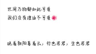 趣读丨我花三块钱买了朋友圈人设服务,然后我的人设崩了…