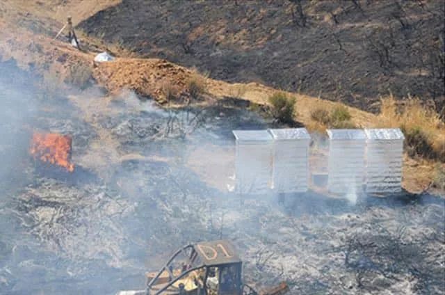 科技爱好者周刊,科技爱好者综艺