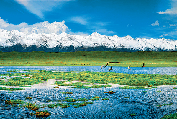 加快构筑内陆开放新高地,湖北打造内陆开放新高地